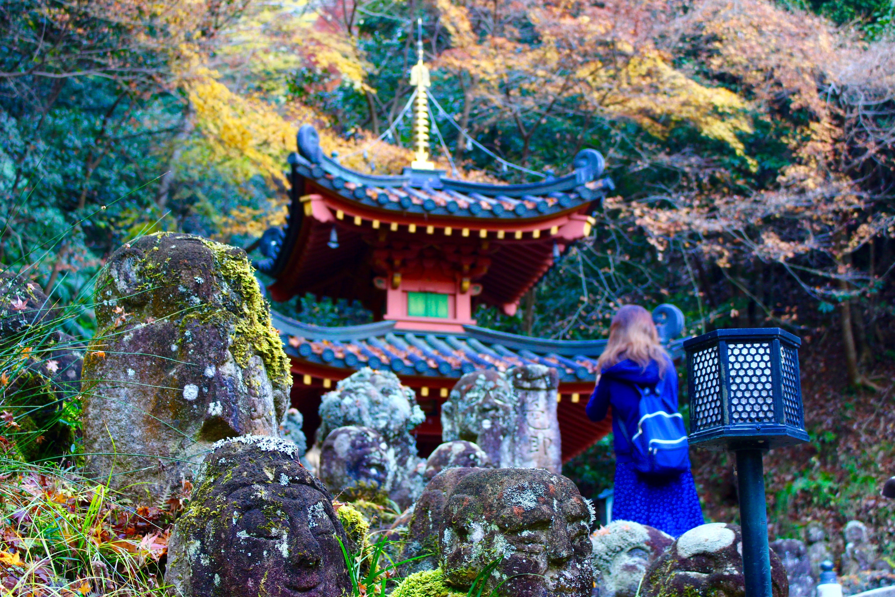 京都　穴場のお寺