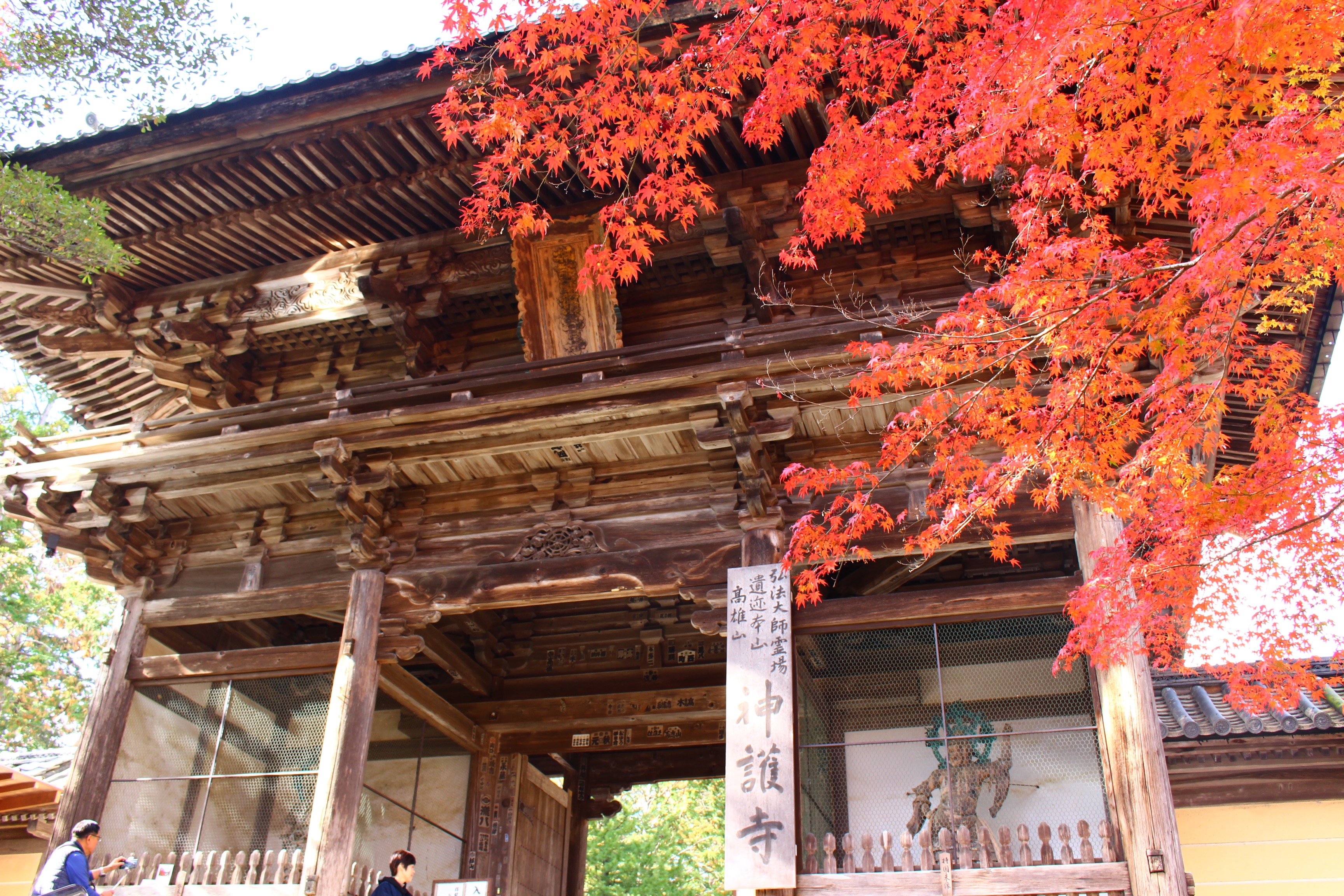 京都 穴場のお寺